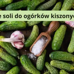 Świeże ogórki, czosnek i koperek. Drewniana łyżka z solą sugeruje, ile soli na litr wody do ogórków kiszonych.