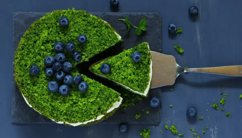Zielony, puszysty **ciasto leśny mech na dużą blachę z serkiem mascarpone**, ozdobione borówkami. Kawałek jest już na łopatce.