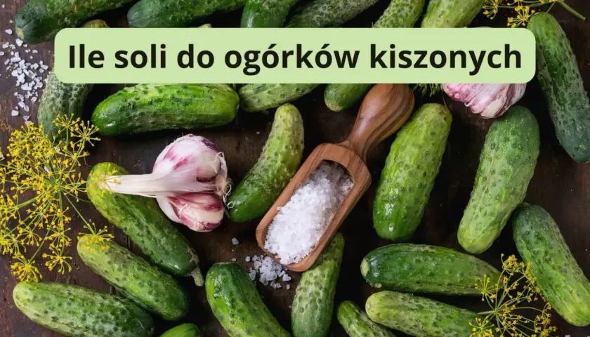 Świeże ogórki, czosnek i koperek. Drewniana łyżka z solą sugeruje, ile soli na litr wody do ogórków kiszonych.