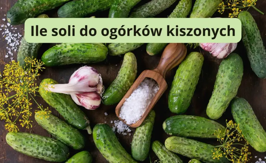 Ile soli na litr wody do ogórków kiszonych? Tak zrobisz dobrą zalewę
