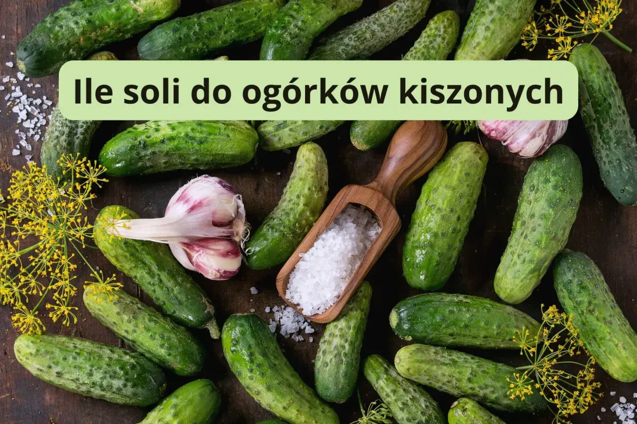 Świeże ogórki, czosnek i koperek. Drewniana łyżka z solą sugeruje, ile soli na litr wody do ogórków kiszonych.