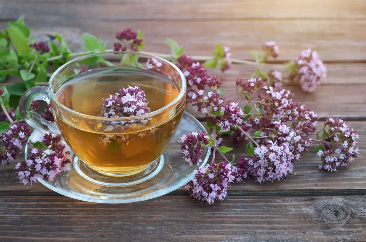 Aromatyczna herbata z oregano w szklanej filiżance, otoczona świeżymi gałązkami. Gdzie kupić tę cudowną herbatę?
